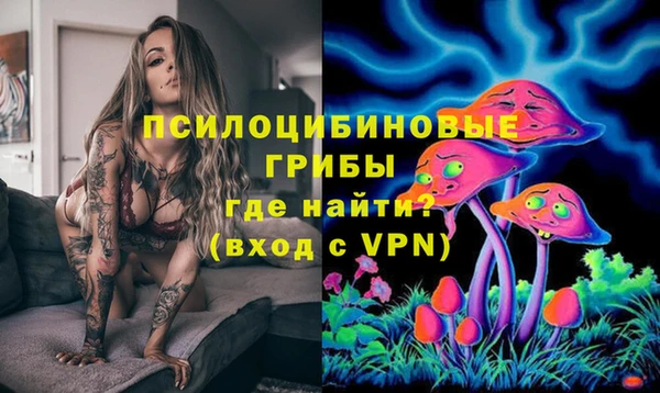 ГАЛЛЮЦИНОГЕННЫЕ ГРИБЫ Вяземский
