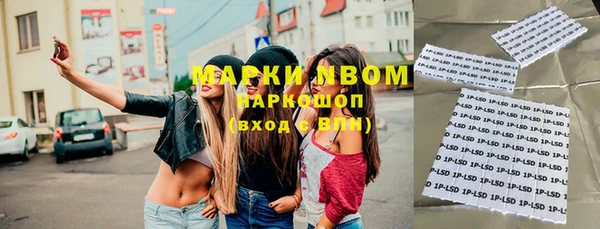 ГАЛЛЮЦИНОГЕННЫЕ ГРИБЫ Вяземский