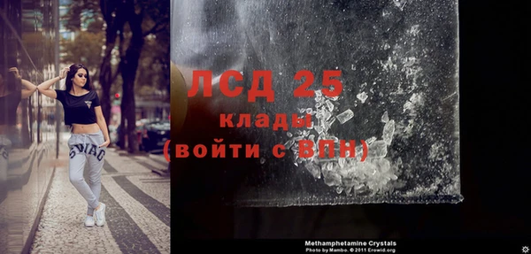 крисы Горняк
