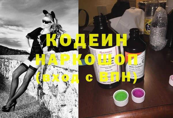 ГАЛЛЮЦИНОГЕННЫЕ ГРИБЫ Вяземский